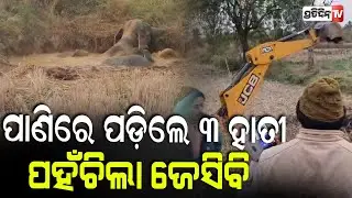 କୂଅରେ ପଡ଼ିଲେ ୩ଦନ୍ତା,ଜେସିବିରେ ଉଦ୍ଧାର ବେଳେ ଗୋଡ଼ାଇଲା ମା ହାତୀ !Forest Department Rescues Elephants,Deogarh