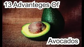Use of Avocados || 12 Advantages Of Avocado -   Best Guides 2021