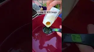 Winter Proof Your Peppers-Don&rsquo;t Pull Them!