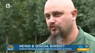 Тази сутрин: Близка среща с хищник: Как да реагираме, ако се окажем очи в очи с мечка?