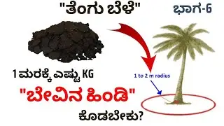 Neem cake application in Coconut farming