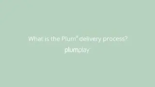 What is the delivery process? | Plum Play