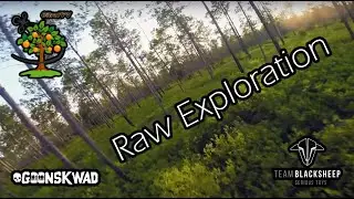 Raw Exploration
