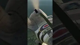 The Art of the Spitfire | How to Handle Her in DCS WWII