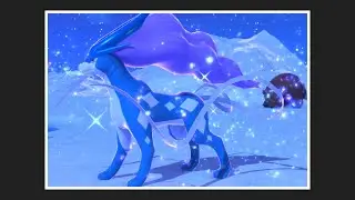 New Pok&eacute;mon Snap - Nintendo Switch - 3rd Anniversary - Part 33 - Shiver Snowfields - Suicune