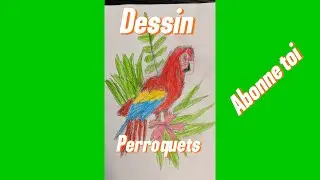 Tuto comment faire un perroquet 