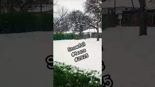 New year and Snowfall in texas !Excited! Welcome 2025 #winter #snow #texas #2025 #dallas #snowfall