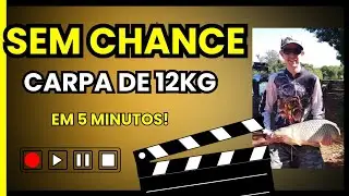 For&ccedil;a Bruta: Quando a Carpa Testa o Limite do Equipamento