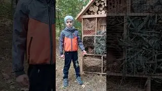 Insects house.  #nature #insecthouse #insects #interestingfact #ladybugs #interestingshorts