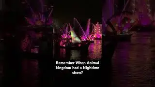 Remember when Disney&rsquo;s Animal kingdom had a night time show? They need to bring something back!