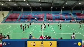 Alpha vs Fenix