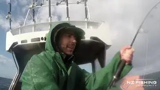 Mad Max Sports Fishing Charter with NZFC. New Zealand