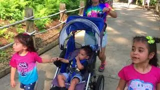 Dinosaurs Alive!!! | GBJ Show