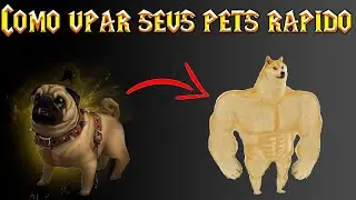COMO UPAR SEUS PETS RAPIDO NO WOW!