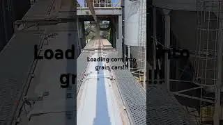 Grain train loading cars how we do it!!!