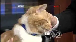 Meet Captain Jack, Friday's Furry Friend