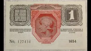 AUSTRIA - HUNGARY - 1 - KRONE - 1916 - 8 - DIFFERENT - LANGUAGES - BANKNOTES - PAPER MONEY - NOTE