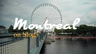 Cinematic Streets of Montreal 🥐 🇨🇦