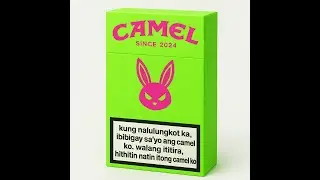 Camel - BabyDraco