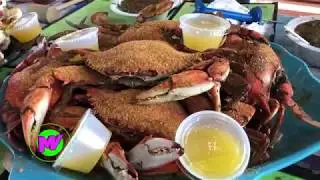 Punta Gorda/Englewood Beach - Visit Florida (Seafood, Beaches, Fun Activities) #VisitFlorida #Travel