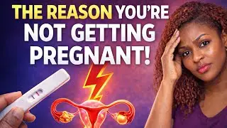 If You’re Struggling with Fertility, Watch This Now – Fertility Explained in Detail.