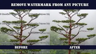 Remove Watermark from any Picture