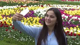 Сад Иран - Боги Ирон