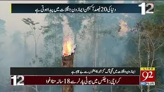 Amazon rainforest fires: an environmental catastrophe | 29 August 2019 | 92NewsHD
