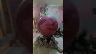 Rock Art Healing Follow Up