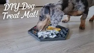 DIY Lick Mat for Dogs | Easy Enrichment Idea for Bored Dachshunds & Puppies #dachshund #puppy #dog