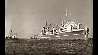 The whaling flotilla 