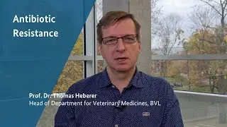Antibiotic Resistance and the One Health Approach
