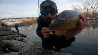 Q4M 9 || Chicago River Quest for A Mirror Trying to Catch one of the Rarest Fish In the USA Illinois