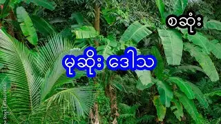 မုဆိုး နှင့် ဒေါသ - စဆုံး