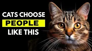 5 Kinds of People Cats Absolutely Love &mdash; Do You Make the List?