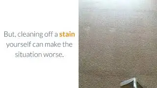 THE WAY OF CARPET STAIN REMOVAL MELBOURNE EXPLAINED