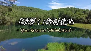 「緑響く」御射鹿池