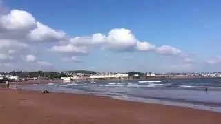 Lime Taps Of Torquay
