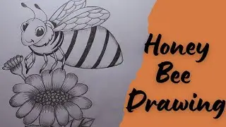 How To Draw A Honey Bee 🐝  Pencil Drawing 🐝 Easy Drawing Tutorial 🐝