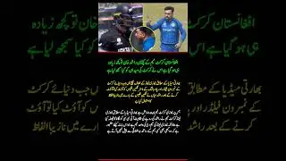 Rashid Khan Controversy vs New Zealand | Alleged On-Field Sledge After Glenn Phillips Wicket