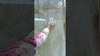 Wall crack repair by crack seal.#shorts #viral #painting #youtube #trending #art #design #workout