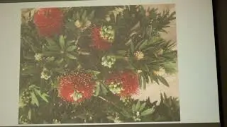 Strategies for Successful Development of Southern Hemisphere Plants - Peter Kruger