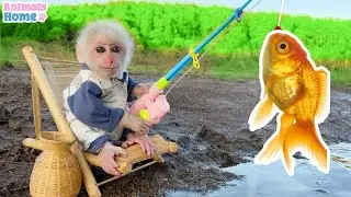 Smart Obi helps dad fish for ducklings