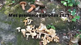 Mes premi&egrave;res girolles 2021