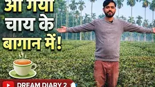 👉 Chai Patti Ka Bagan 🌿 | Tea Garden Vlog | Dream Diary 2