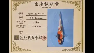 Azukari Challenge Japan 2023