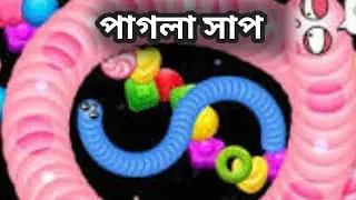 Worms Zone io Biggest Snake New Record 2026  Wala Game oggy