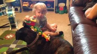 Bella - Train Track dog 2