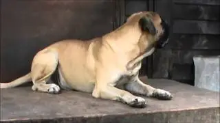 Мой фильм людвиг 25 августа