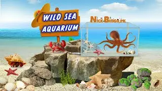 Tide Pool Aquarium ! Nick Bingo pk